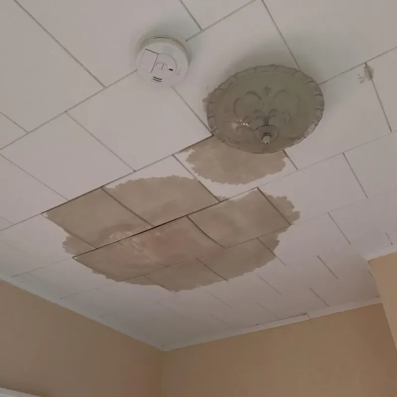 Ceiling Water Damage Repair in West Chatham, MA